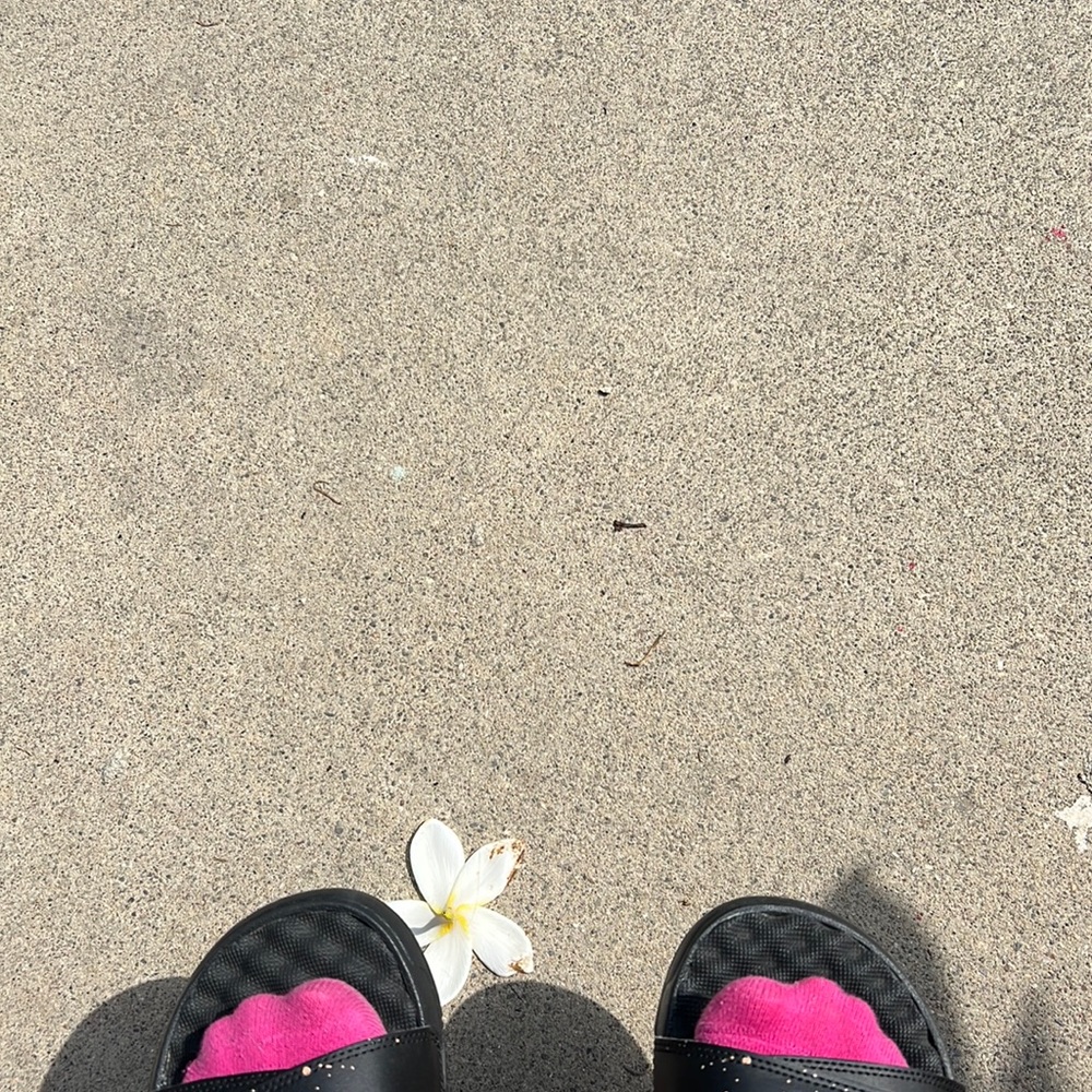 Rolls of velvet for Aja Meringue